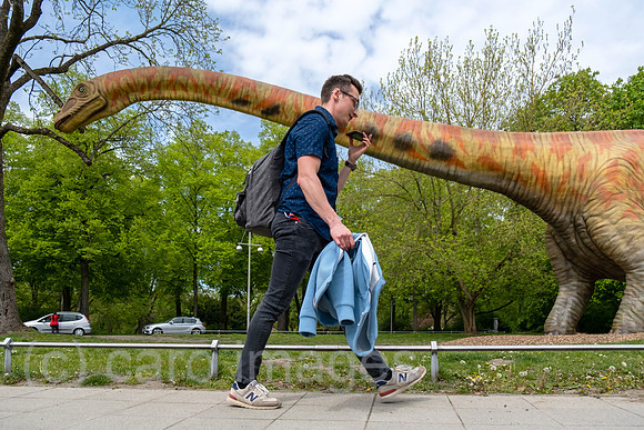 Deutschland, Hannover - Modell eines Dinosauriers (Seismosaurus) des Landesmuseum Hannover