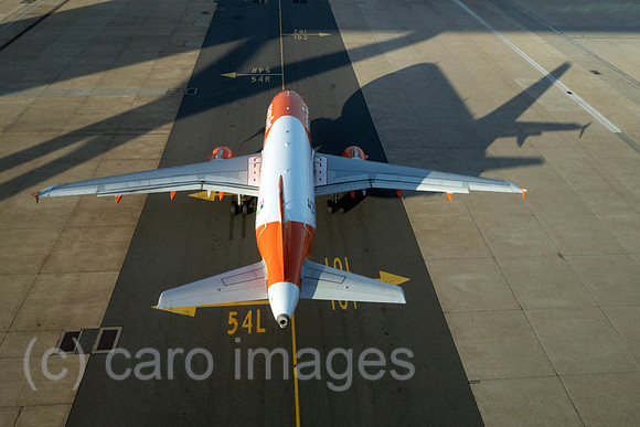 00S230623D498CAROEX.JPG
