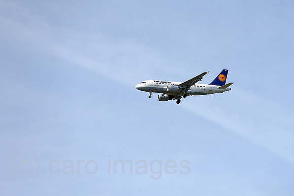 00S230529D261CAROEX.JPG