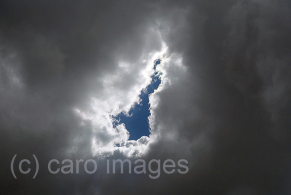 00S230718D124CAROEX.JPG