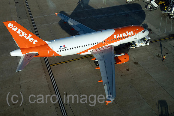 00S230623D494CAROEX.JPG