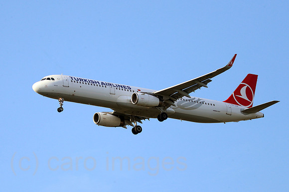 00S230714D109CAROEX.JPG