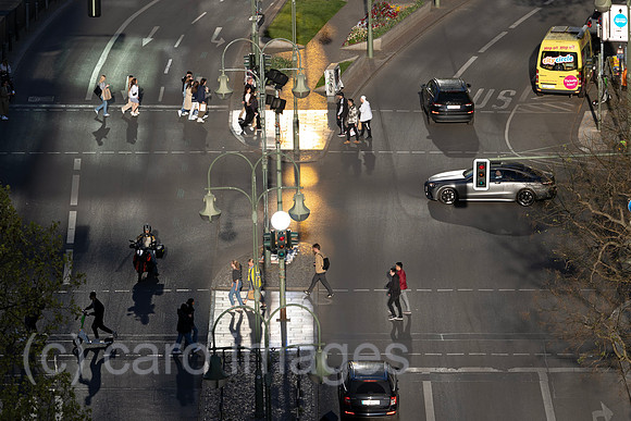 00S230509D126CAROEX.JPG