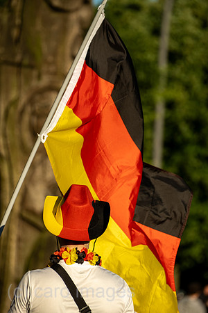 00A240619D684CAROEX.JPG