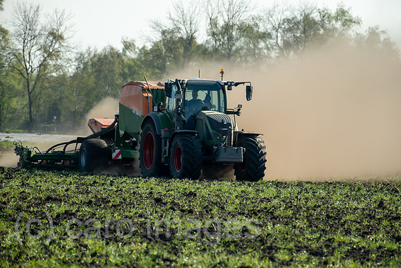 Deutschland, Barenburg - Landwirt pfluegt sein Feld mit dem Traktor