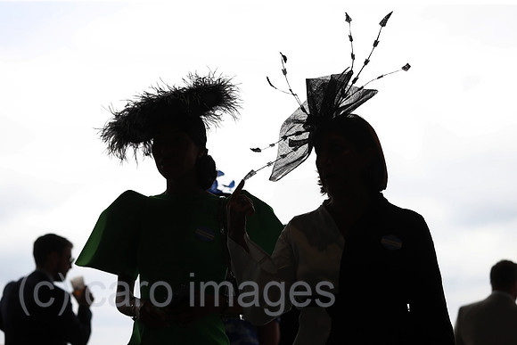00S230620D348CAROEX.JPG