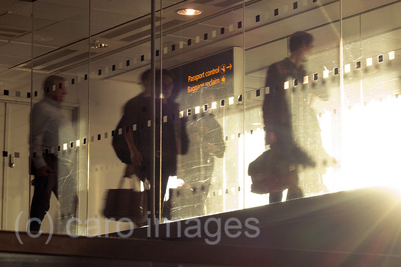 00S230623D500CAROEX.JPG
