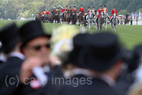 00S230622D432CAROEX.JPG