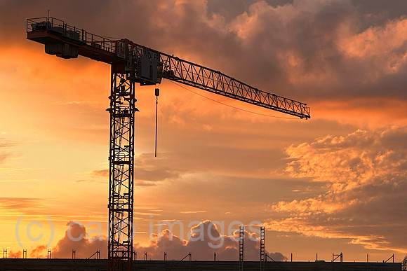 00S230809D158CAROEX.JPG