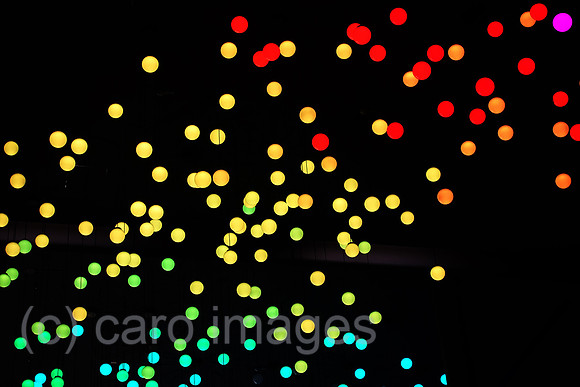 00S230811D174CAROEX.JPG