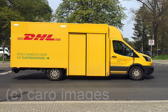 00S230428D105CAROEX.JPG