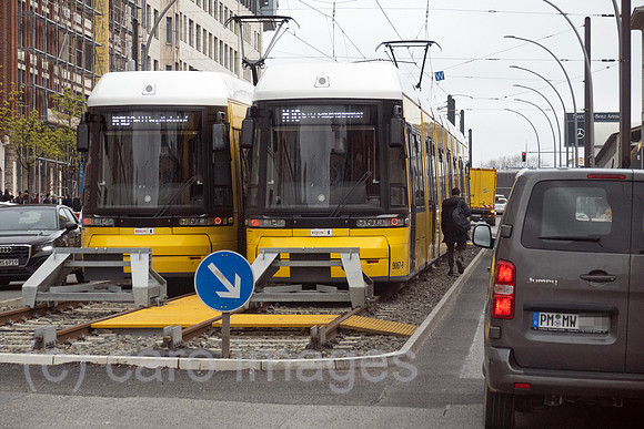 00S230420D067CAROEX.JPG