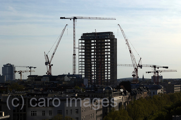 00S230509D124CAROEX.JPG