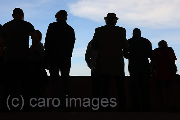 00S230422D073CAROEX.JPG