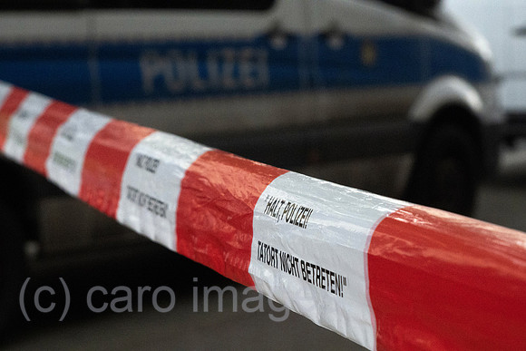 00S230424D081CAROEX.JPG