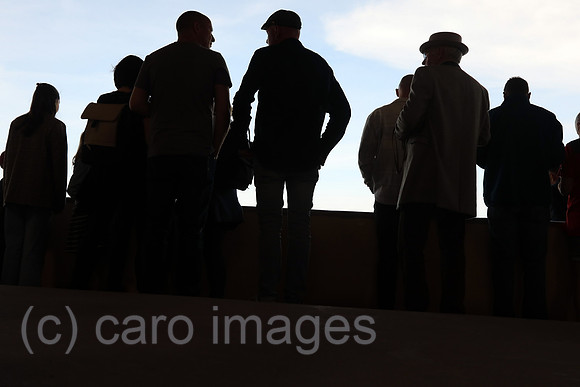 00S230422D074CAROEX.JPG