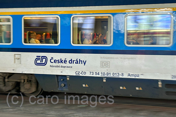 00S230810D161CAROEX.JPG
