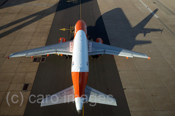 00S230623D497CAROEX.JPG