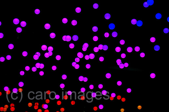 00S230811D172CAROEX.JPG