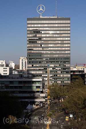 00S230509D122CAROEX.JPG
