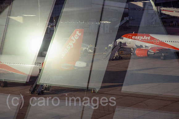 00S230623D492CAROEX.JPG