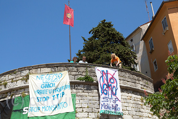 Kroatien, Labin - Umweltaktivisten entrollen Transparente gegen Monsanto, TTIP und GMO (genetically modified organism)