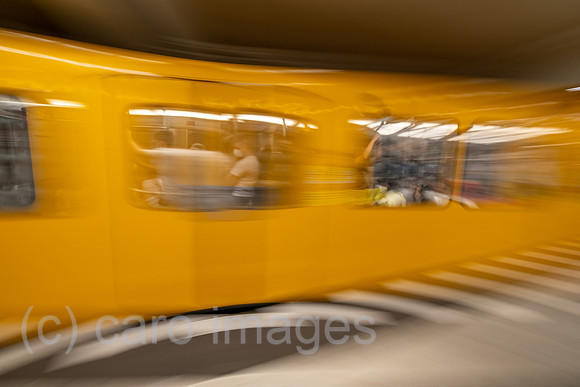 00A220619D550CAROEX.JPG