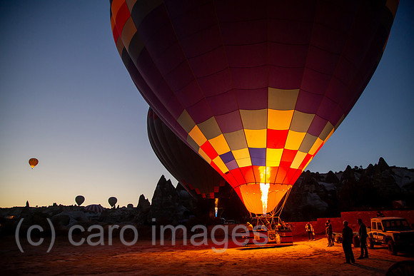 00A170905D034CAROEX.JPG