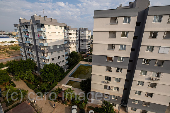 00A221019D042CAROEX.JPG