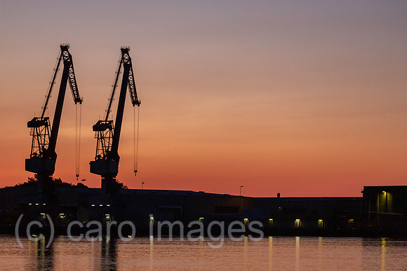 00A180526D055CAROEX.JPG