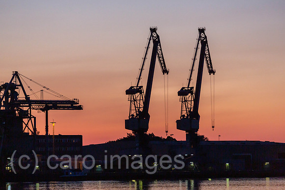 00A180526D050CAROEX.JPG
