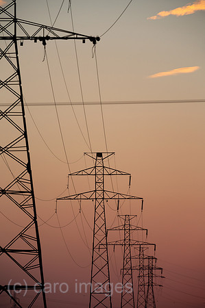 00A180912D119CAROEX.JPG