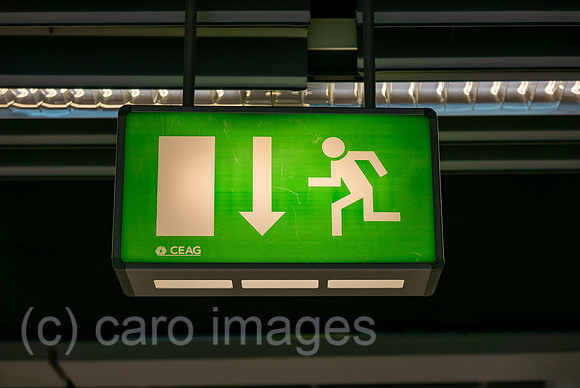 00A180826D322CAROEX.JPG