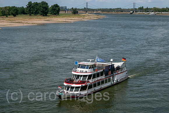 00A180824D181CAROEX.JPG