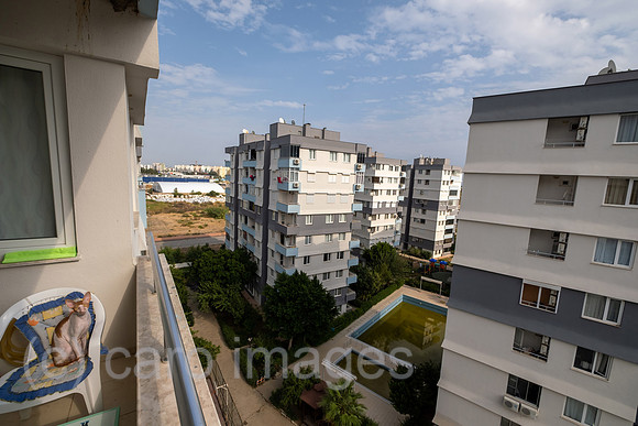 00A221019D004CAROEX.JPG