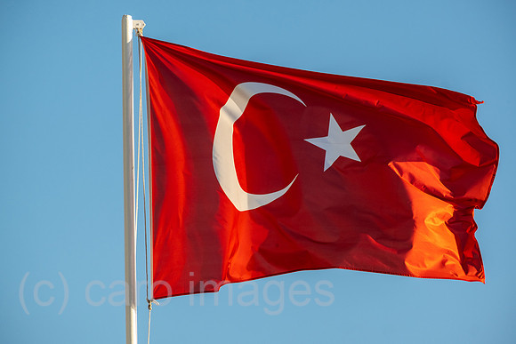 00A221028D1104CAROEX.JPG