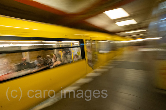 00A220618D408CAROEX.JPG
