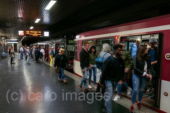 00A180826D721CAROEX.JPG