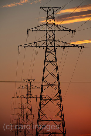 00A180912D110CAROEX.JPG