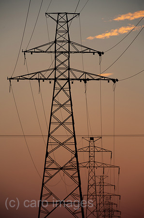 00A180912D118CAROEX.JPG