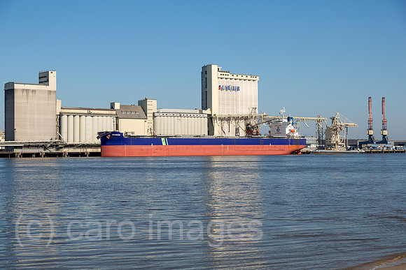 00A180527D003CAROEX.JPG
