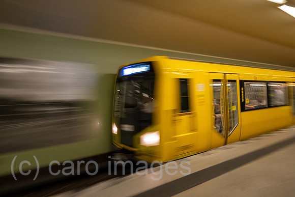 00A220618D404CAROEX.JPG