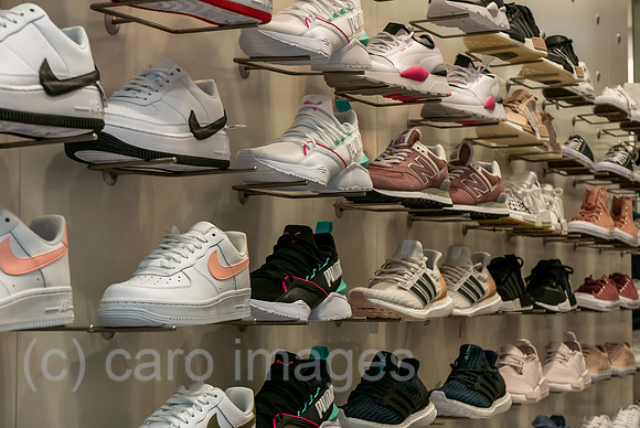 00A180826D509CAROEX.JPG