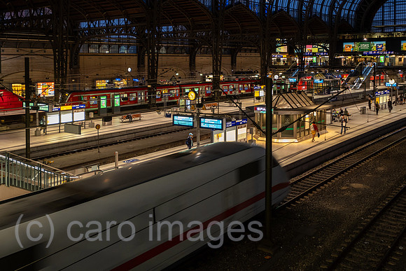 00A220620D631CAROEX.JPG