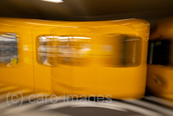 00A220619D549CAROEX.JPG