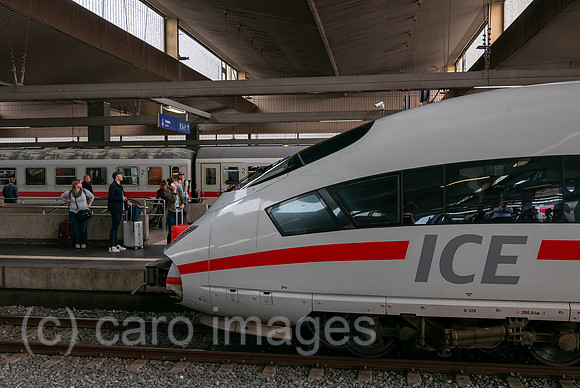 00A180826D730CAROEX.JPG