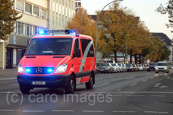 00S181009D441CARO.JPG
