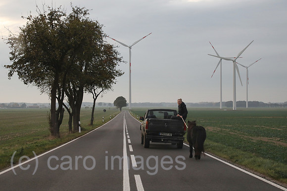 00S181101D485CARO.JPG