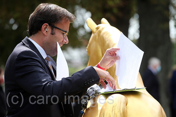 00S200906D366CARO.JPG
