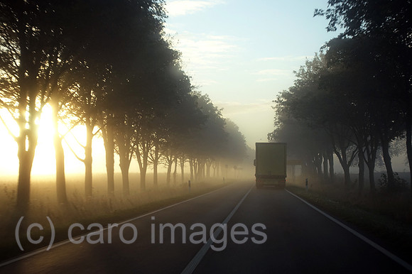 00S201017D533CARO.JPG